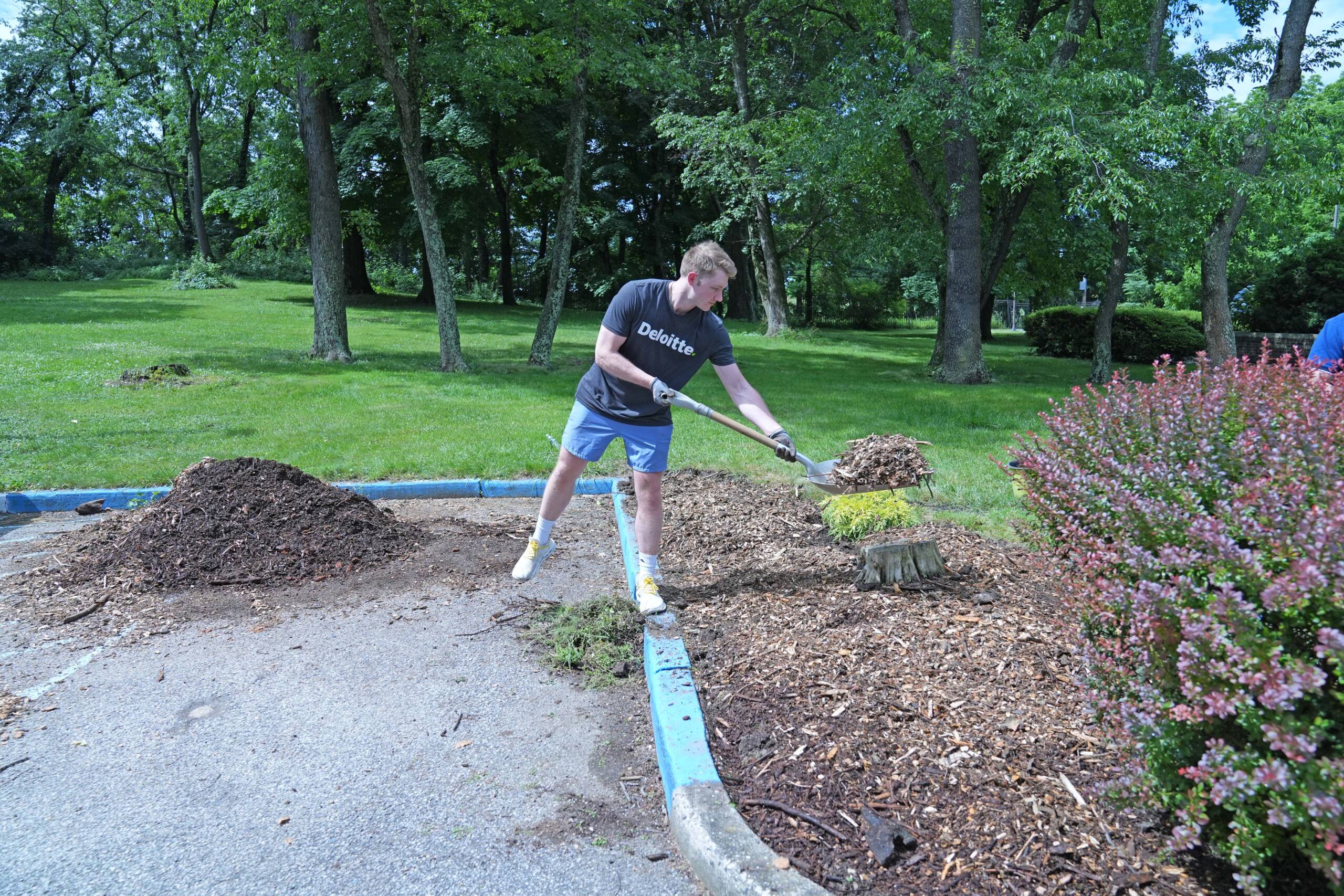 A Deloitte volunteer shoveling mulch into a garden bed.